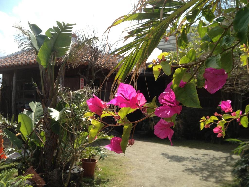 Nakijin No Yado Hibiscus Hotel Exterior photo