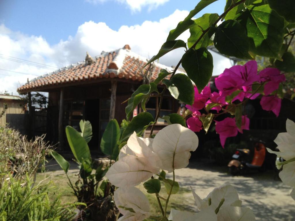 Nakijin No Yado Hibiscus Hotel Exterior photo